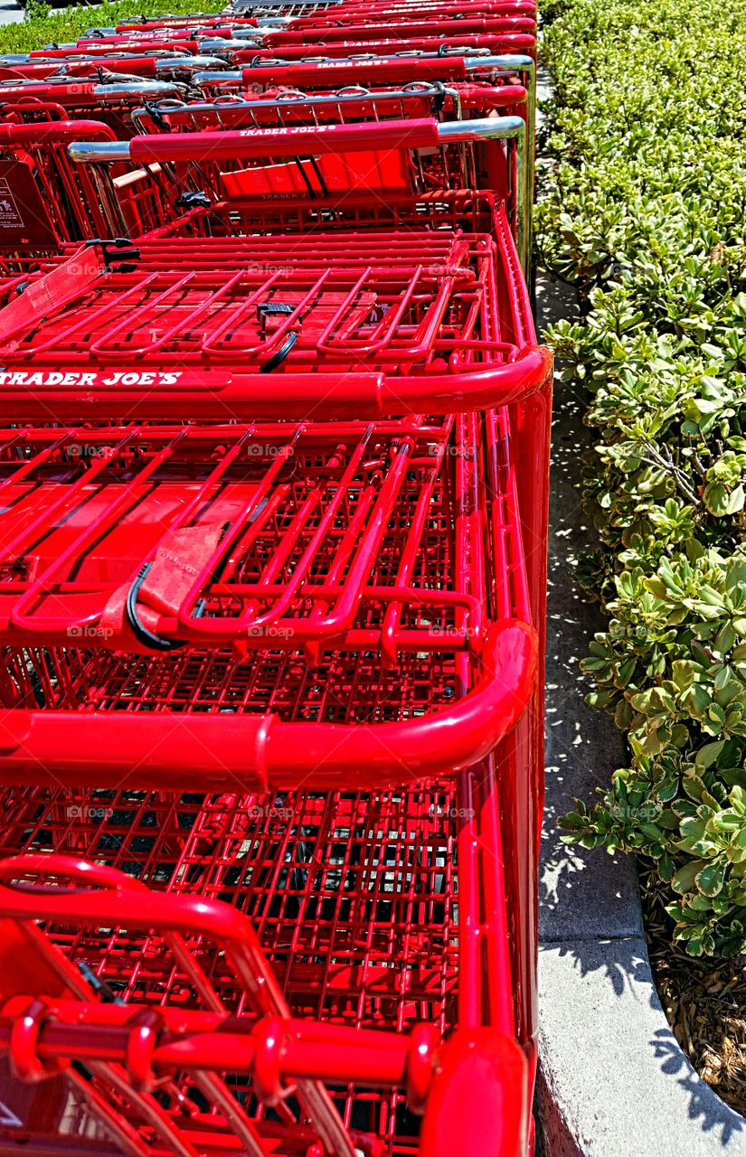 Shopping carts. Lineup of shiny red shopping carts!