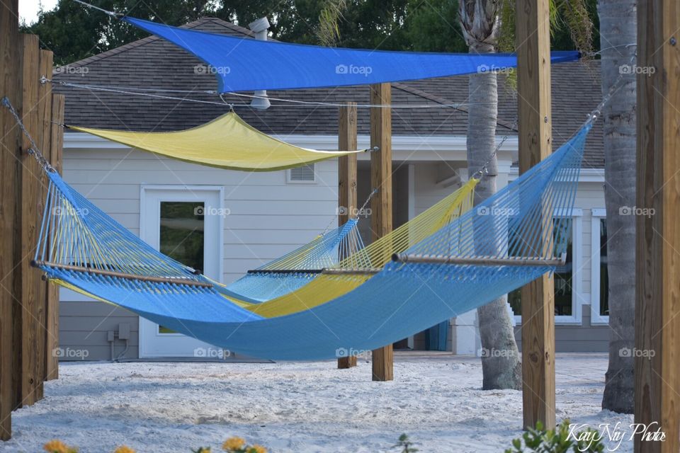 Summertime in Florida 