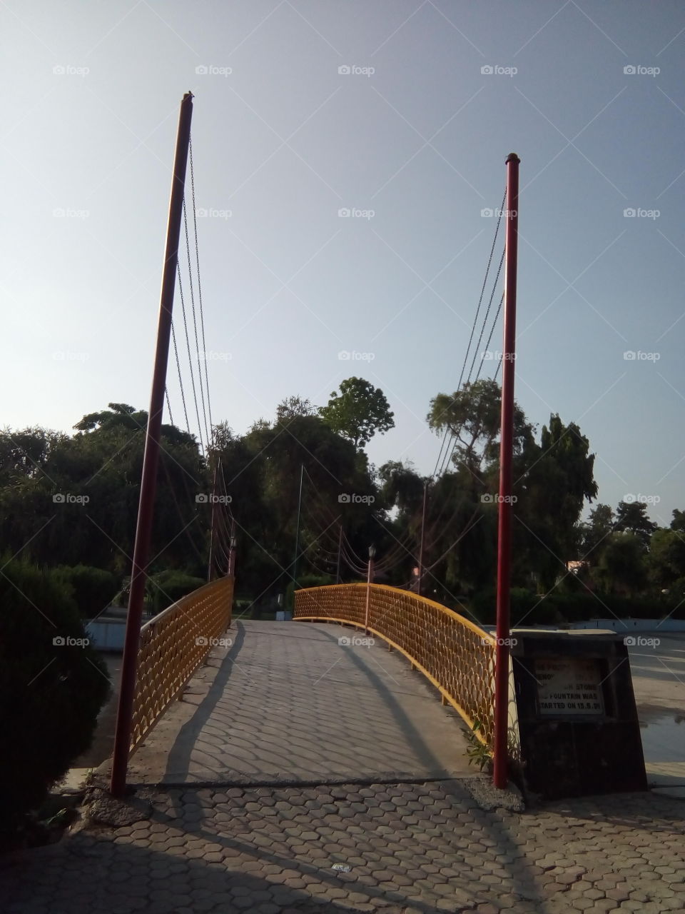 a beautiful sight in a garden