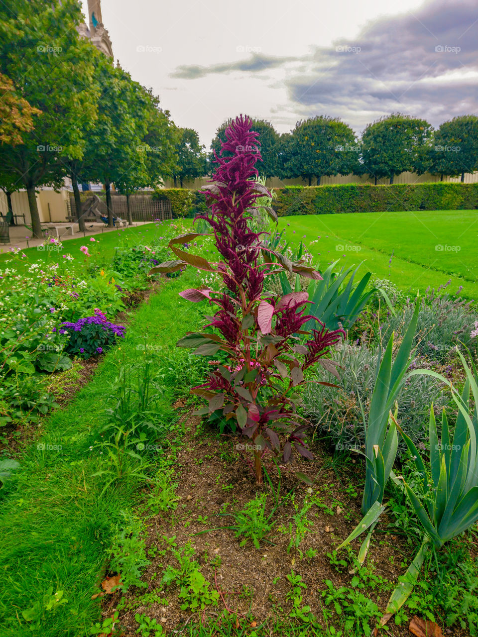 Jardin des Tuileries