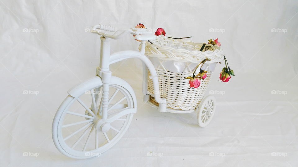 decorative toy bike and dried rose buds