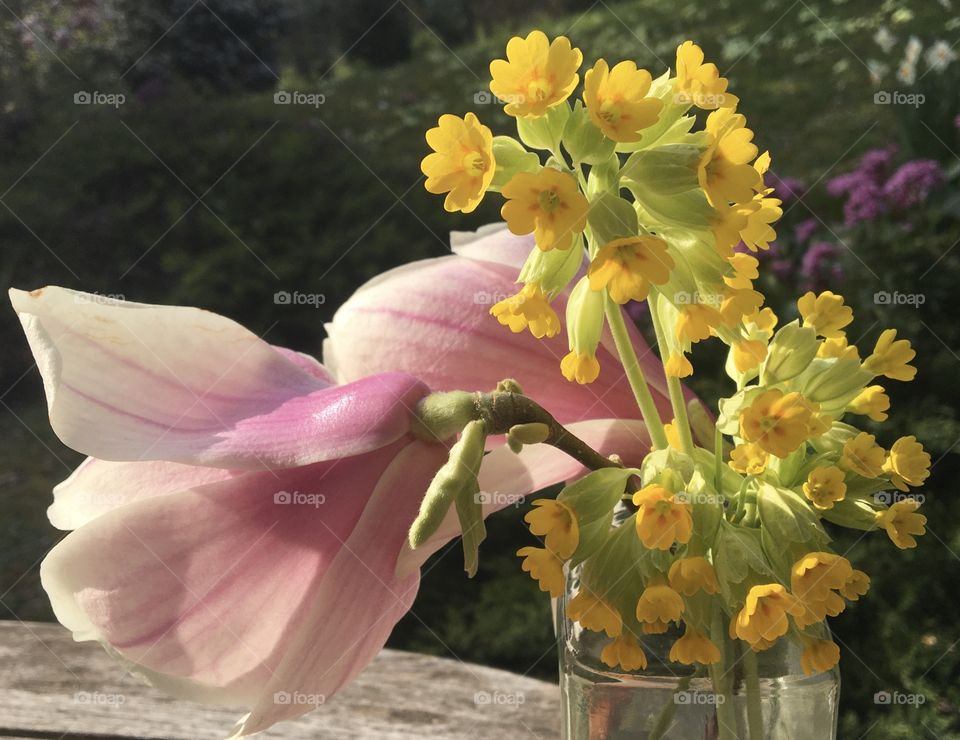 A little bit of softness 