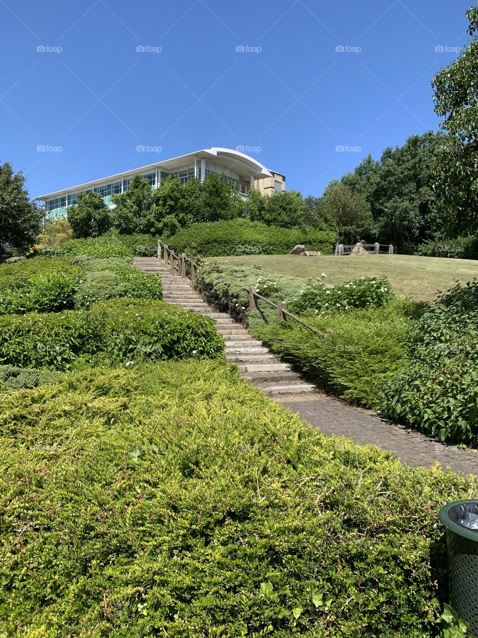 A walk through Redburn Dene