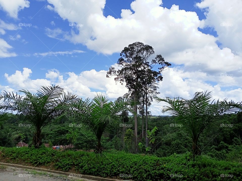 Indonesia, Kalimantan Tengah, in one moment nice day. In the middle of the forest is still within the scope of a coal mining company.
