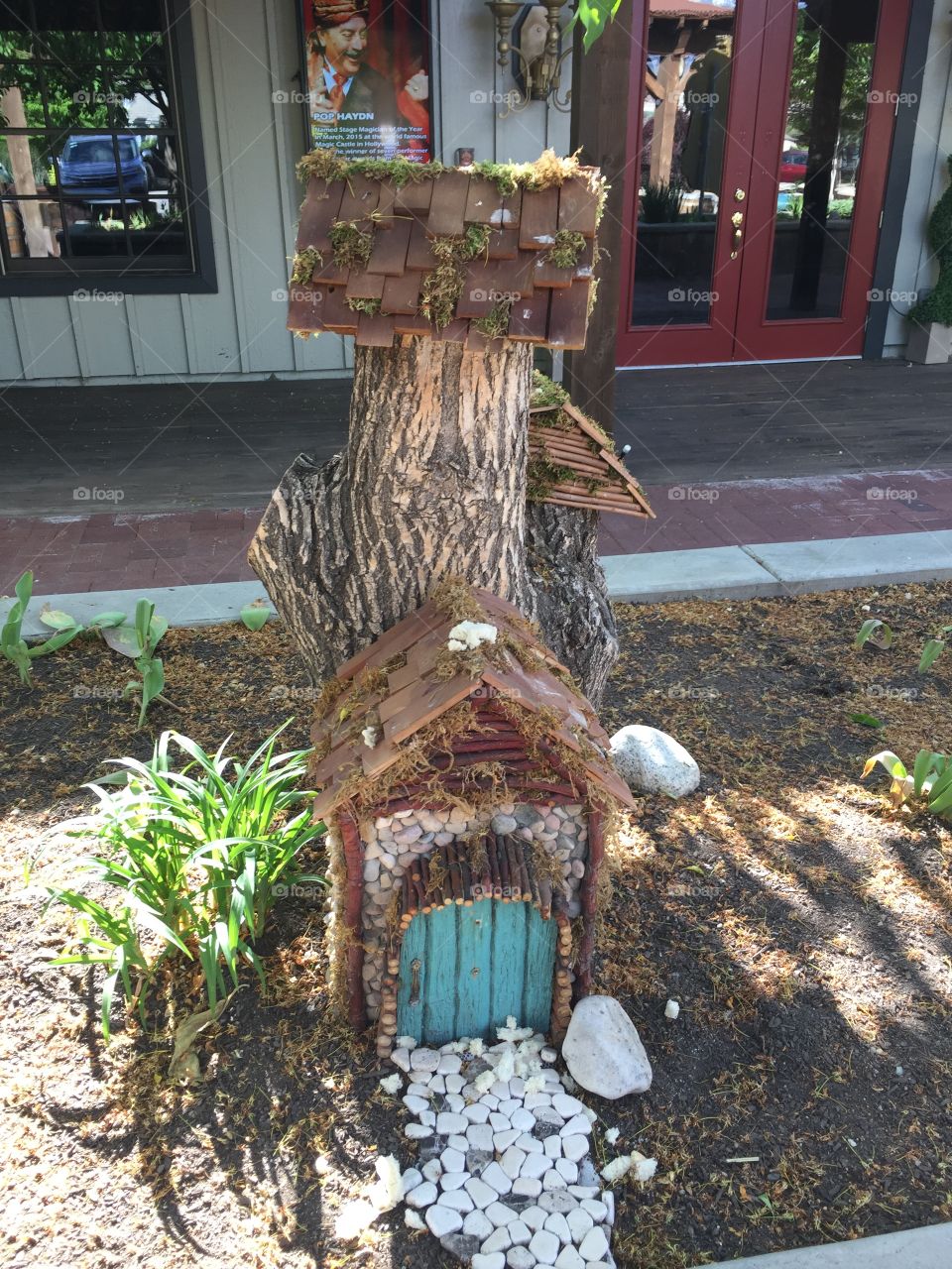 Fairy Haven. Copyright © CM Photography 2019. @chelseamerkleyphotos