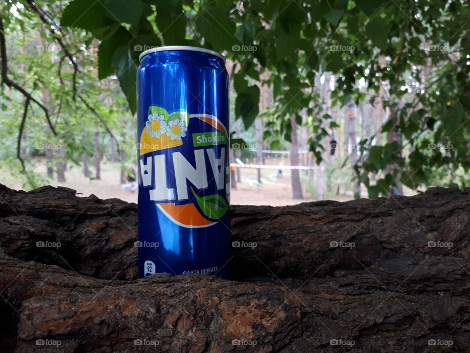 Can with fanta shokata at the tree