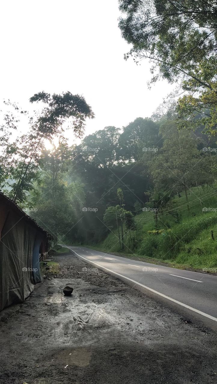 jalanan menuju malang