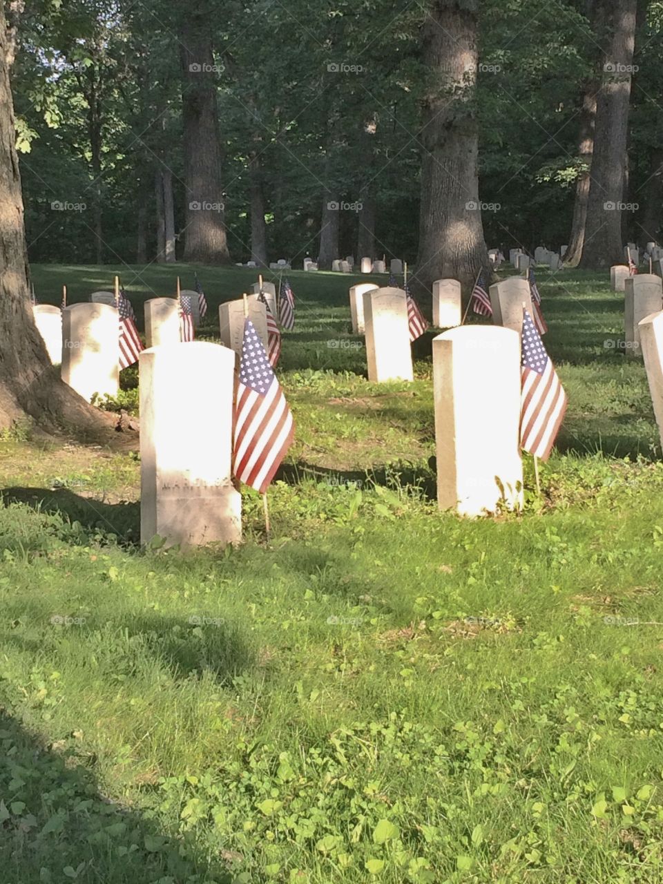 The home of the brave