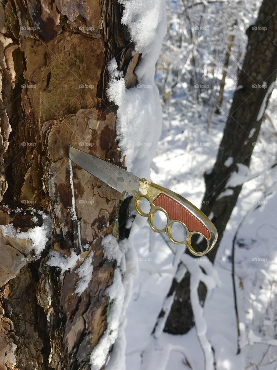 knife stuck in tree