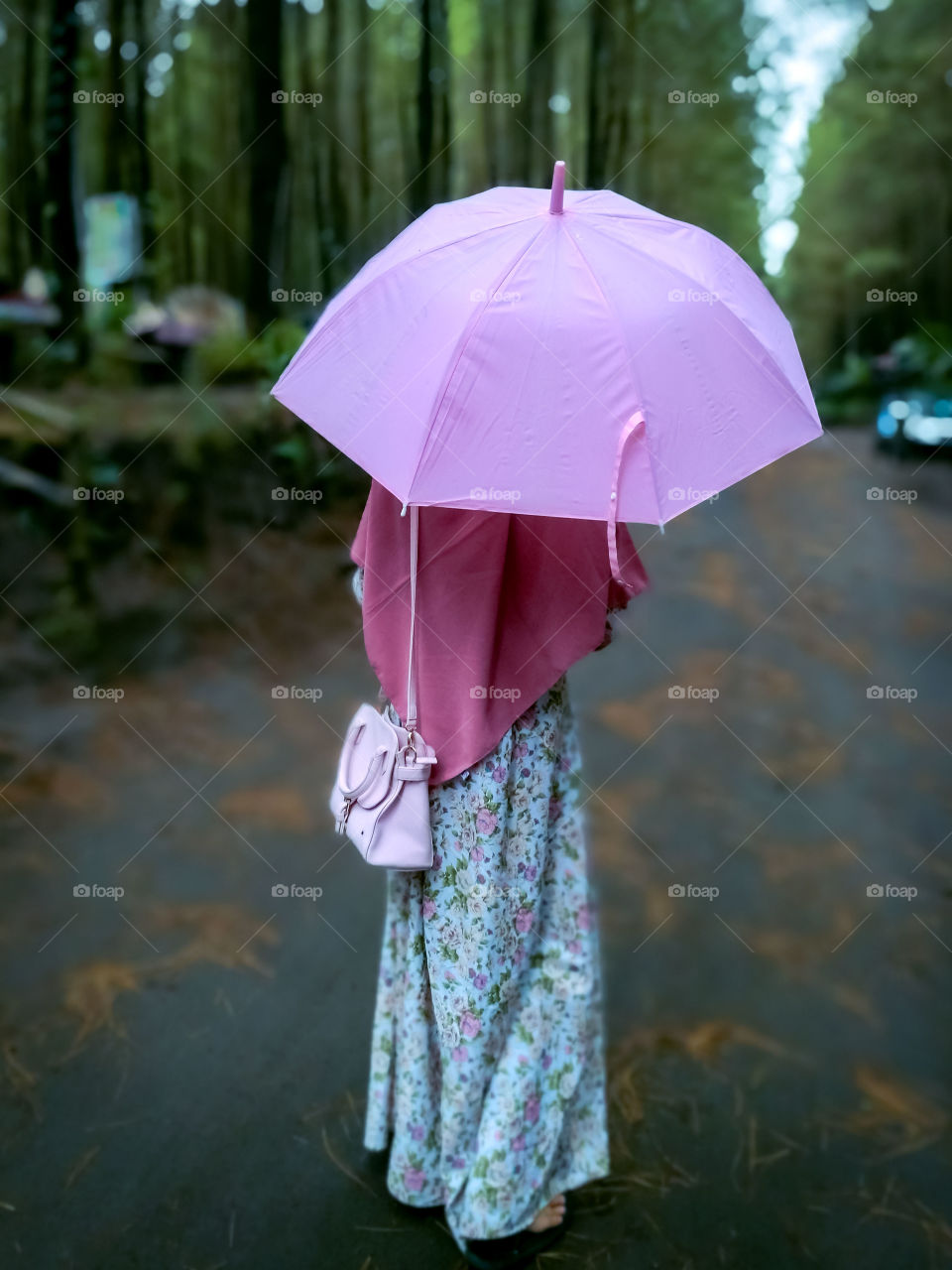 Beautiful time and moment walking in the Rain at the Rainforest