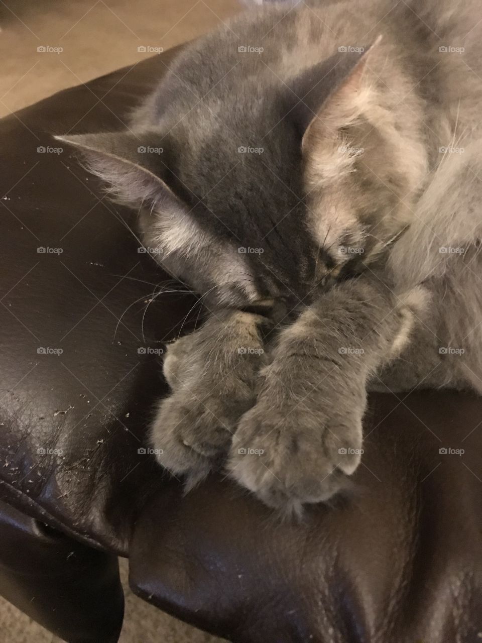 Another day where the light is bright. And now as I cover my eyes I can sleep for a bit. 