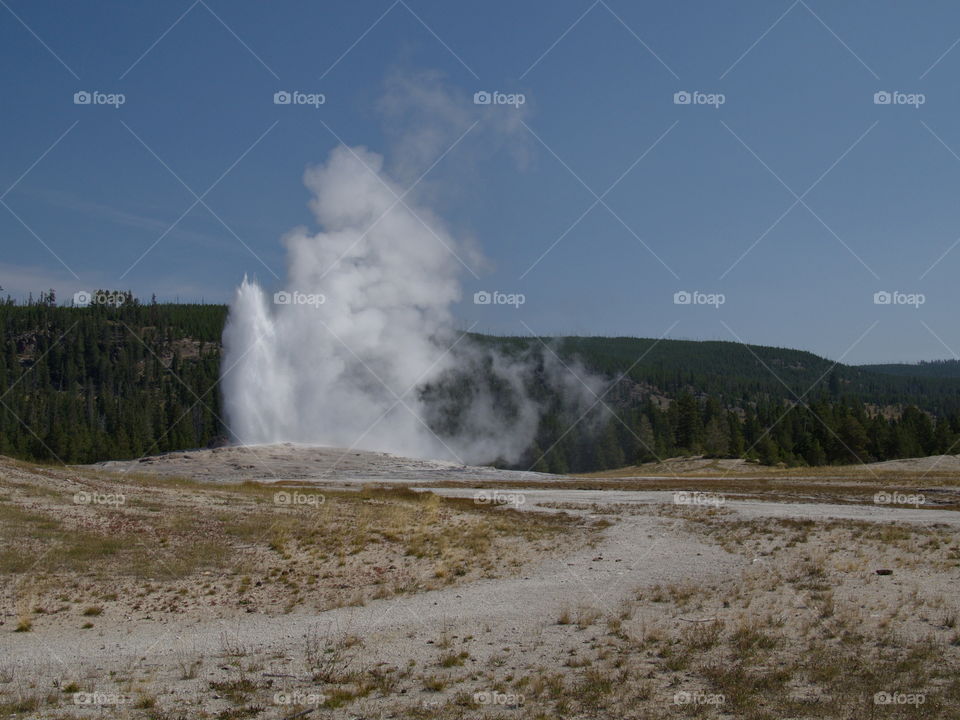 Beautiful, unique, and stunning geology on Geyser Hill in the magnificent Yellowstone National Park on a sunny summer day. 