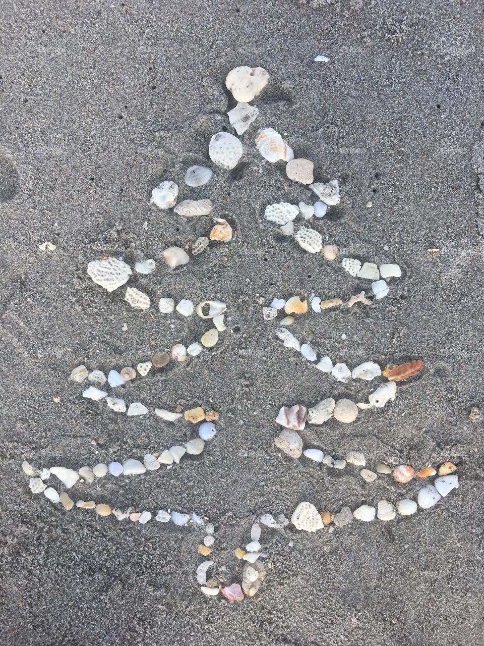 In this grey world what a refreshing story is the holidays' stories. On the grey background of sand, the white bits and pieces of seashells tell us a happy story, the story of a tree, a Christmas tree.