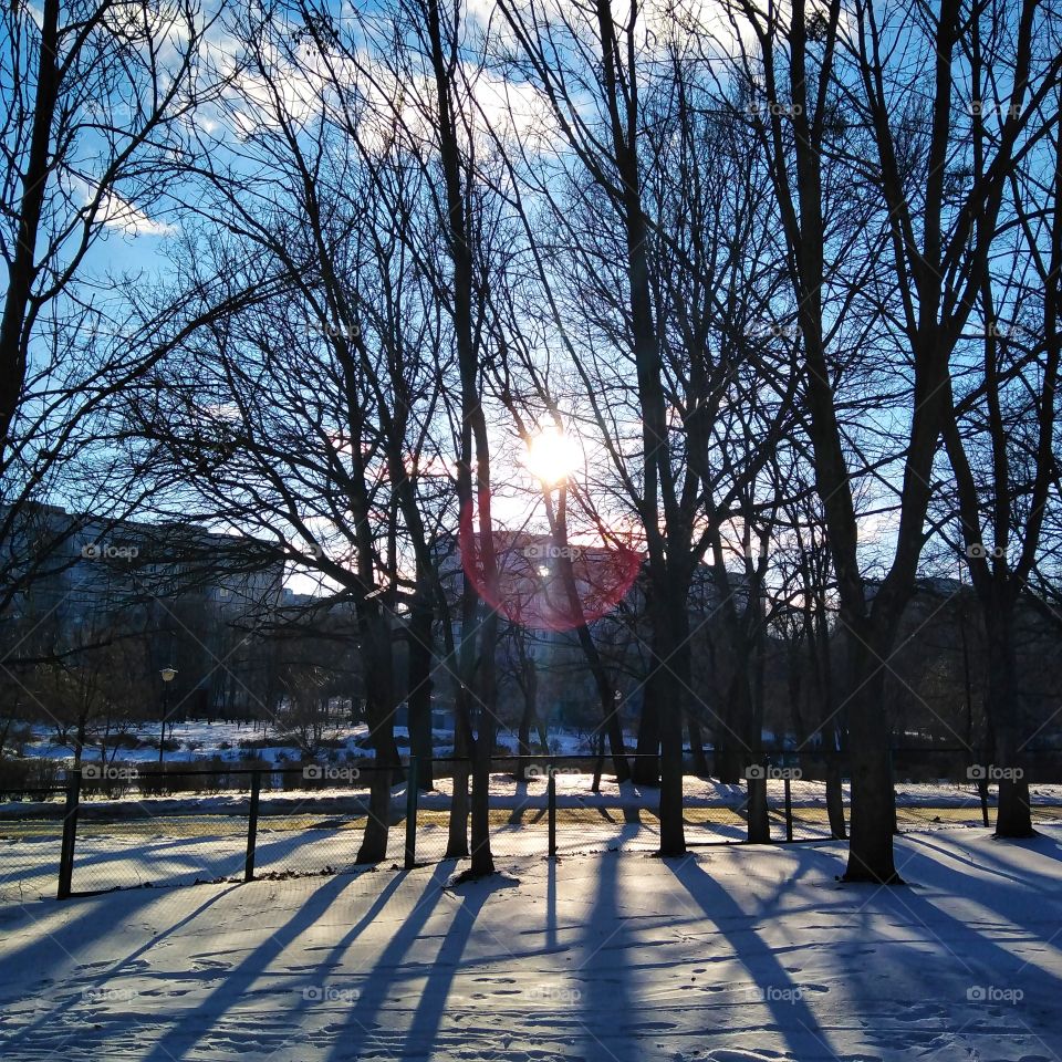 Sunny winter