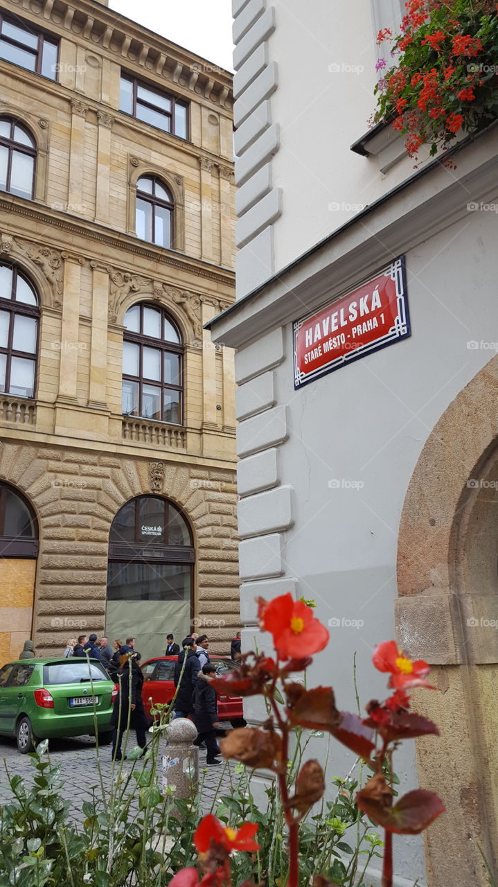 Architecture, Building, Street, City, House