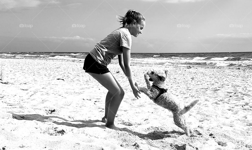 girl and funny dog play at the beach