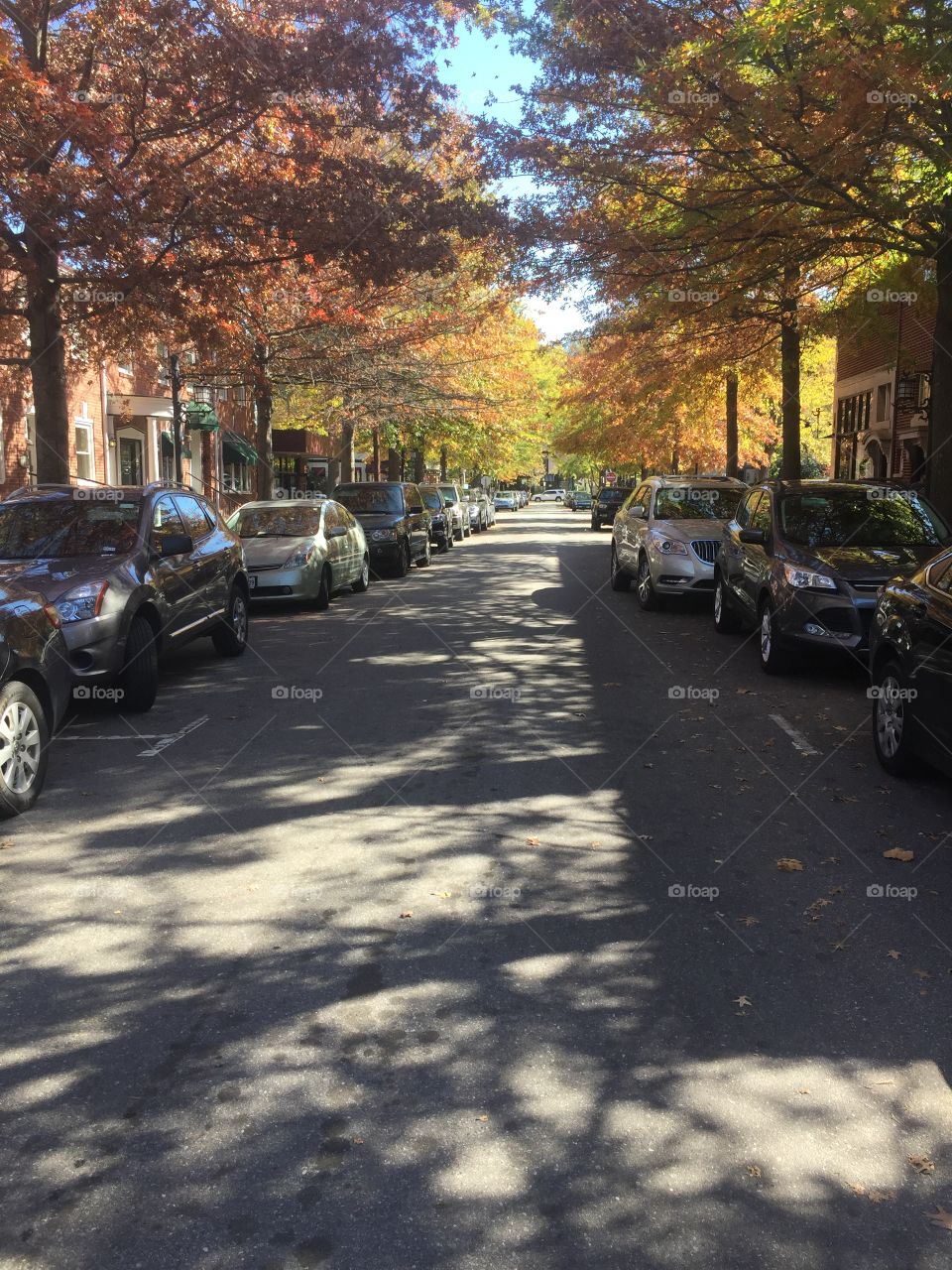 Street in the fall
