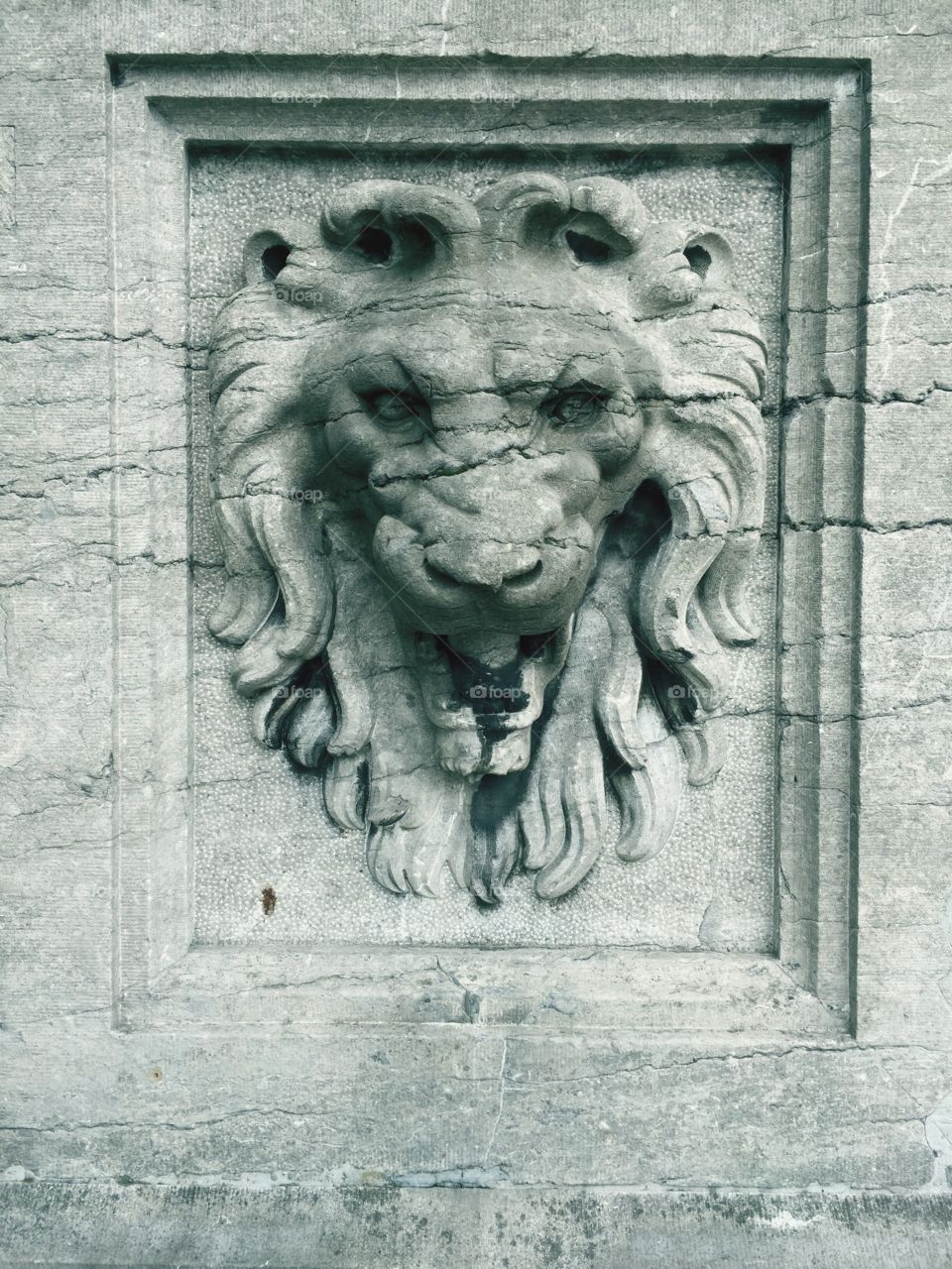 Sculpture of a lion head