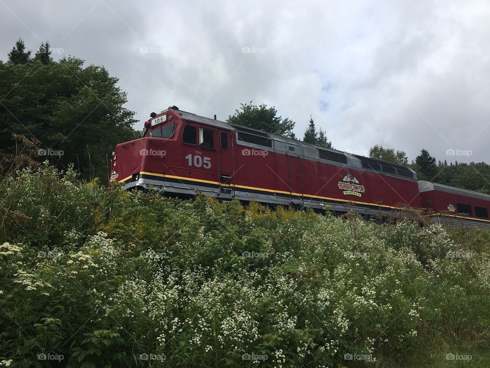 Awaga train, Northern Ontario 