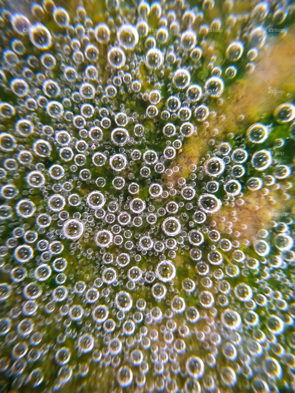 Fill the ground with little Bubbles in rain water