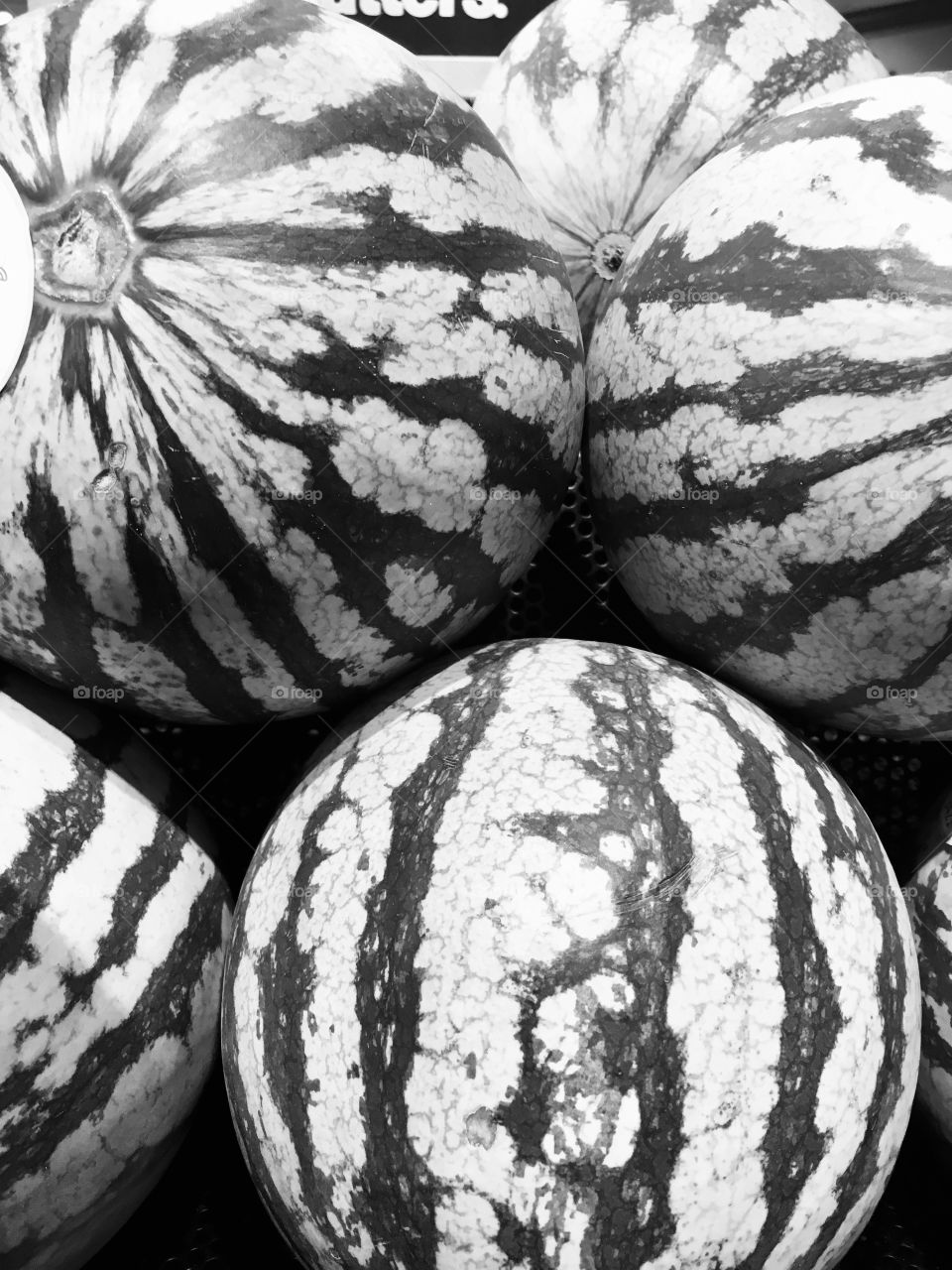 Striped watermelons black & white