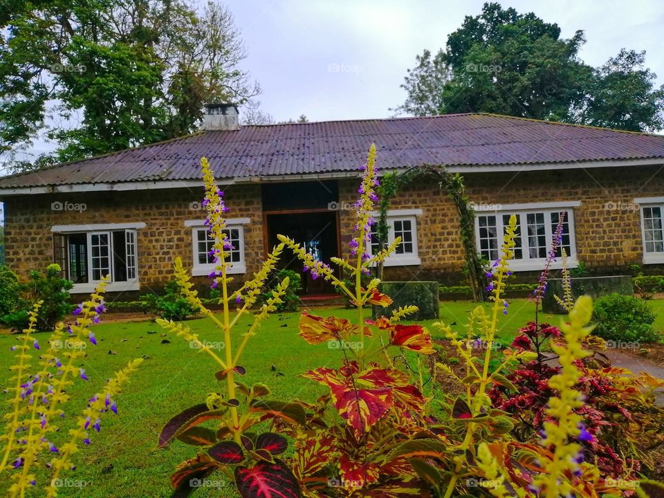 The beauty of Sri Lanka