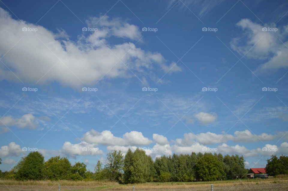 sky with light clouds