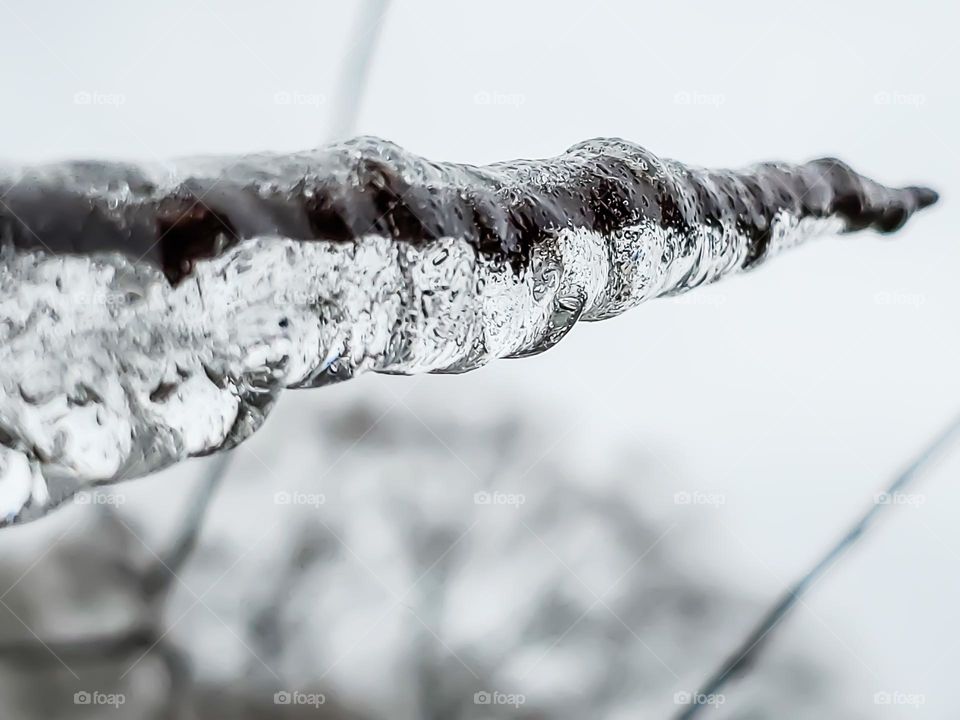 Icy artistry