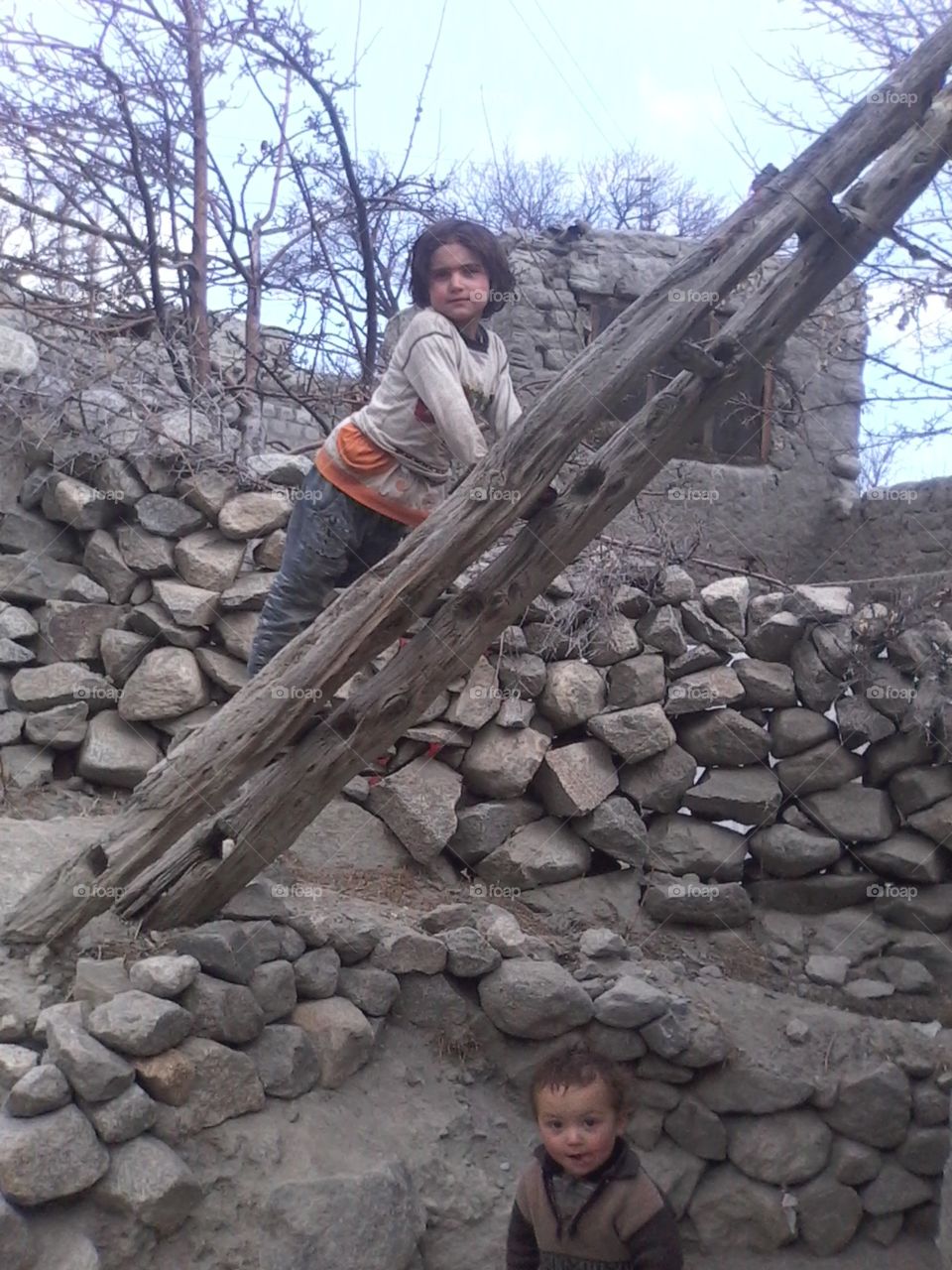 wood ladder for climbing roof