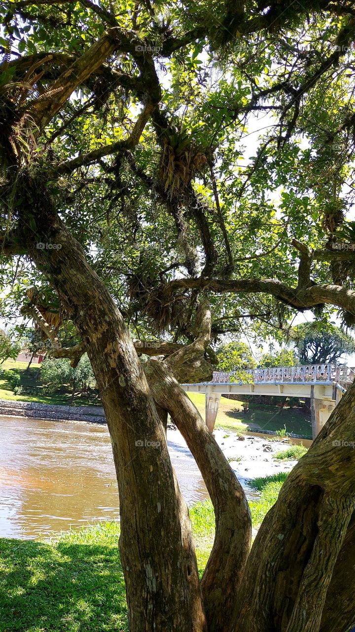 Rio Iapó,corta a cidade de Castro no Paraná.  Contato com a natureza, saudável.