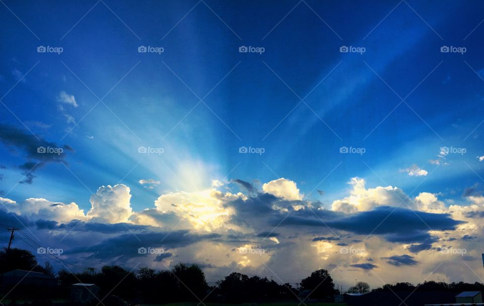 Good morning sunshine 