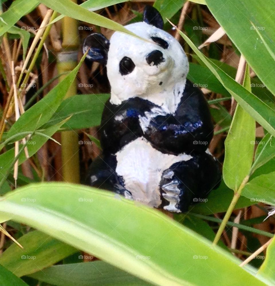 Bronze Panda. Sculpted by: Dan Chen. 
Picture taken in bamboo 