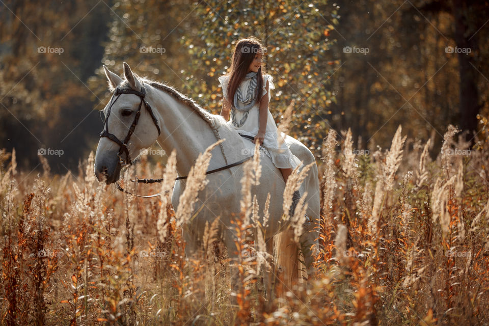 Little girl with grey horse in autumn park