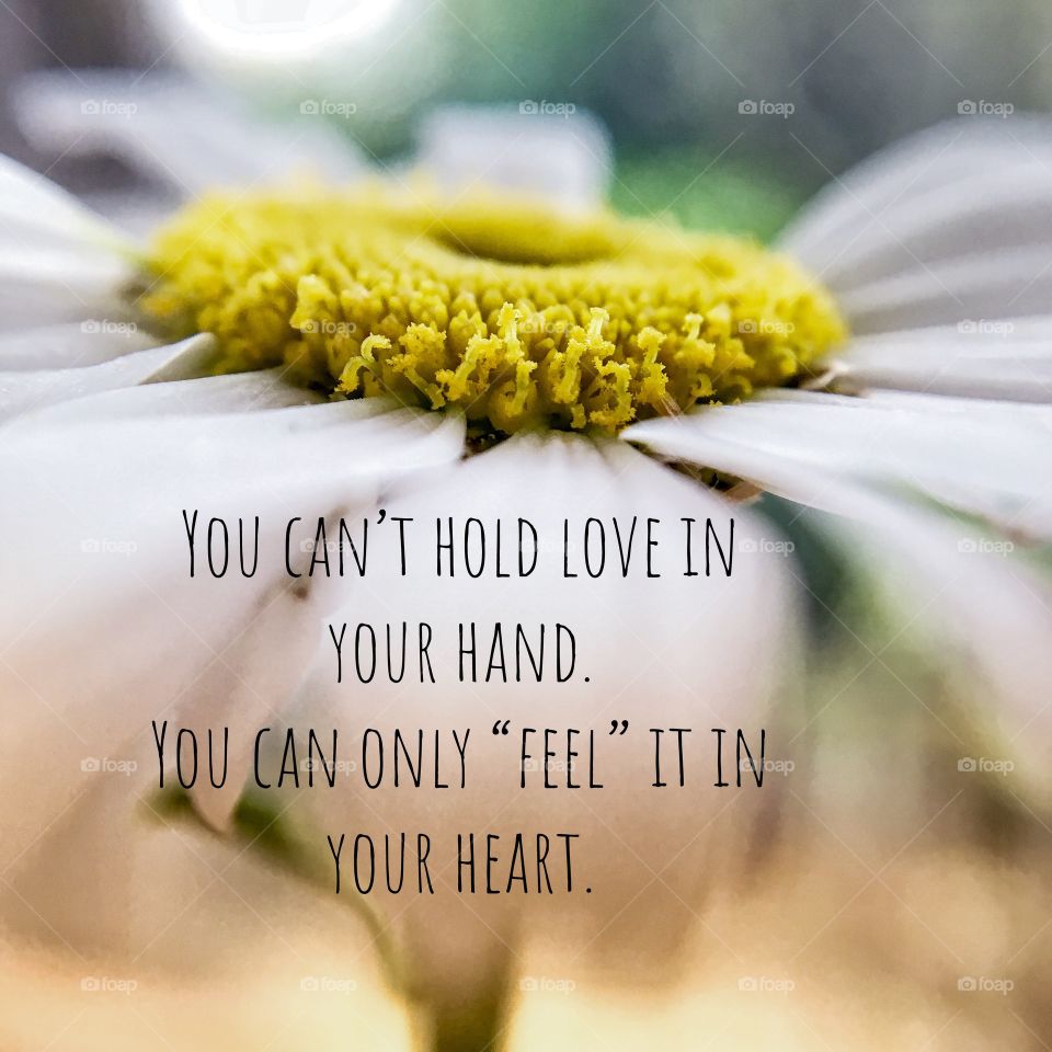 You can’t hold love in your hand. You can only “feel” it in your heart .. words  from The Secret by Rhonda Byrne 