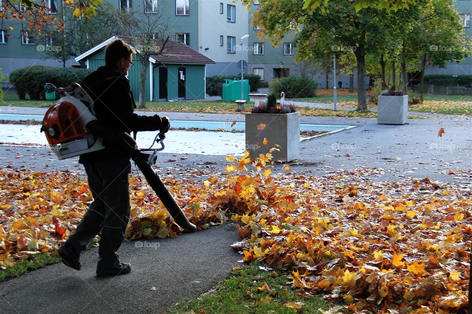 Young man blowing leaves . Young man blowing leaves 