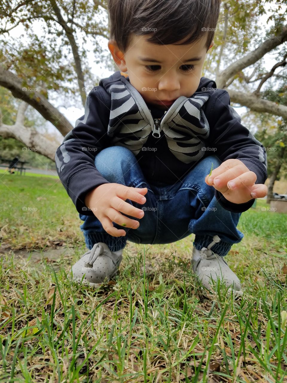 picking grass