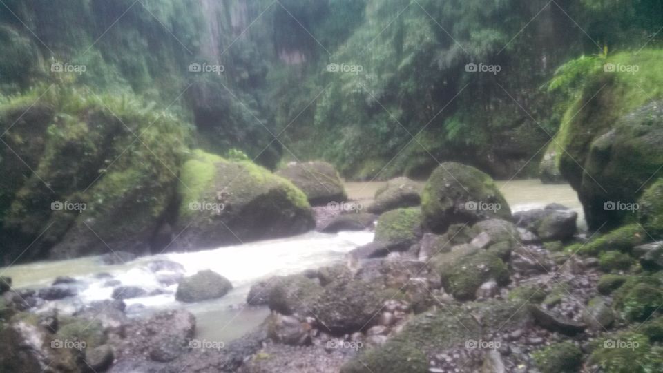 stream in the Philippines. family vacation