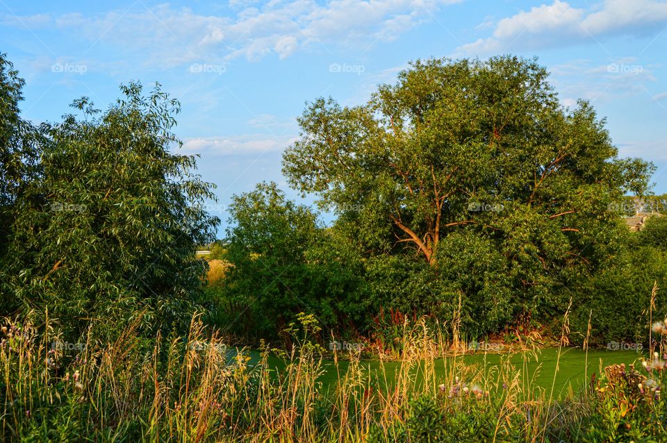 Summer is the best time of the year. Nature is amazing. Sometimes people who are used to swim and fish in this pond. And now all that are derived from his memories.