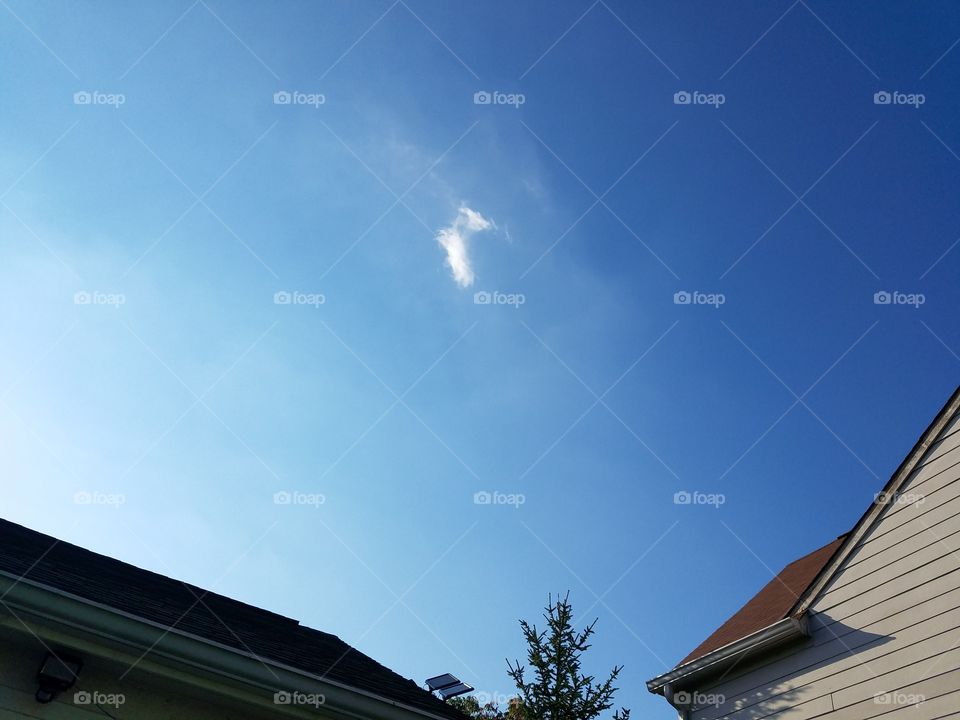 Sky, No Person, Daylight, Outdoors, Roof