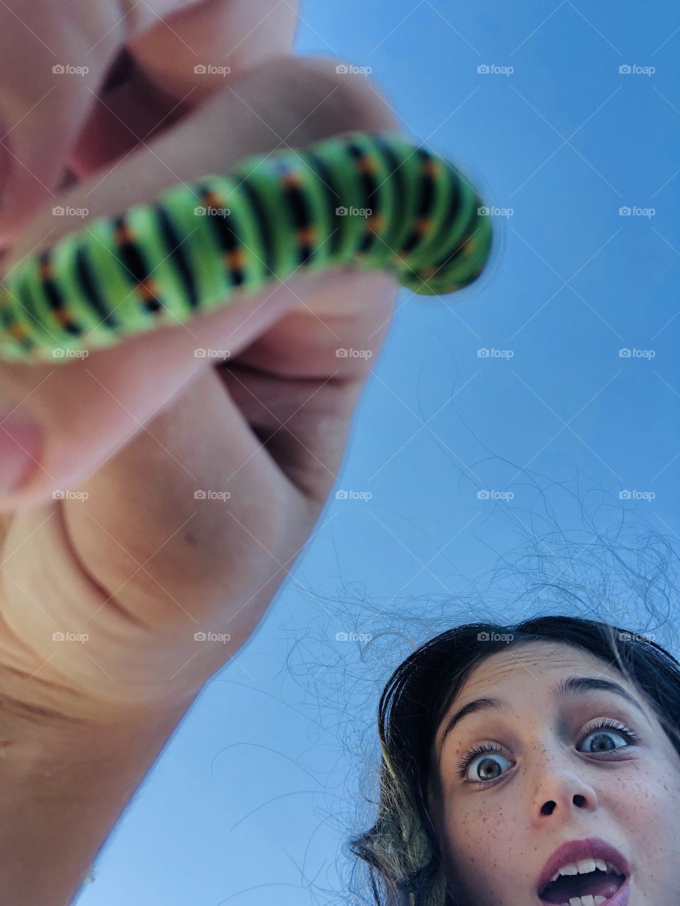 Summer time caterpillar 