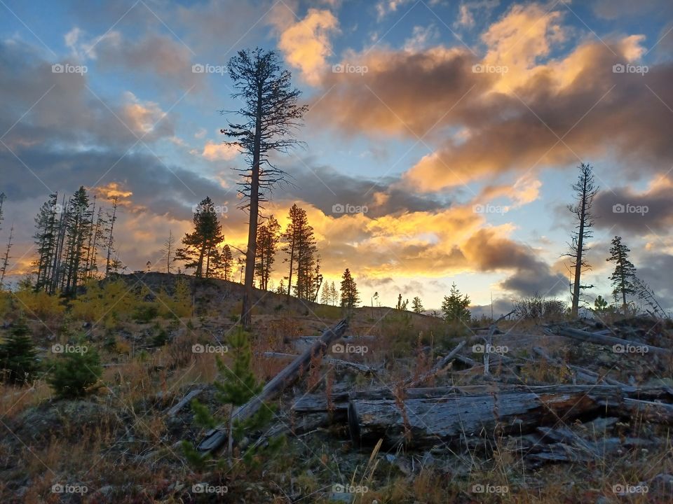 sunset on the hill