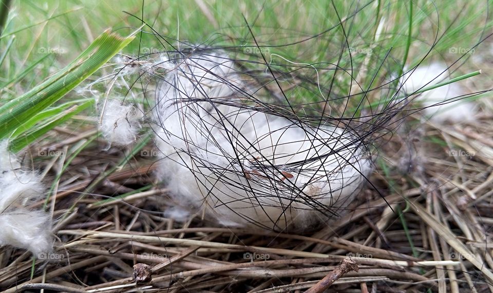 Nest made with cotton and string