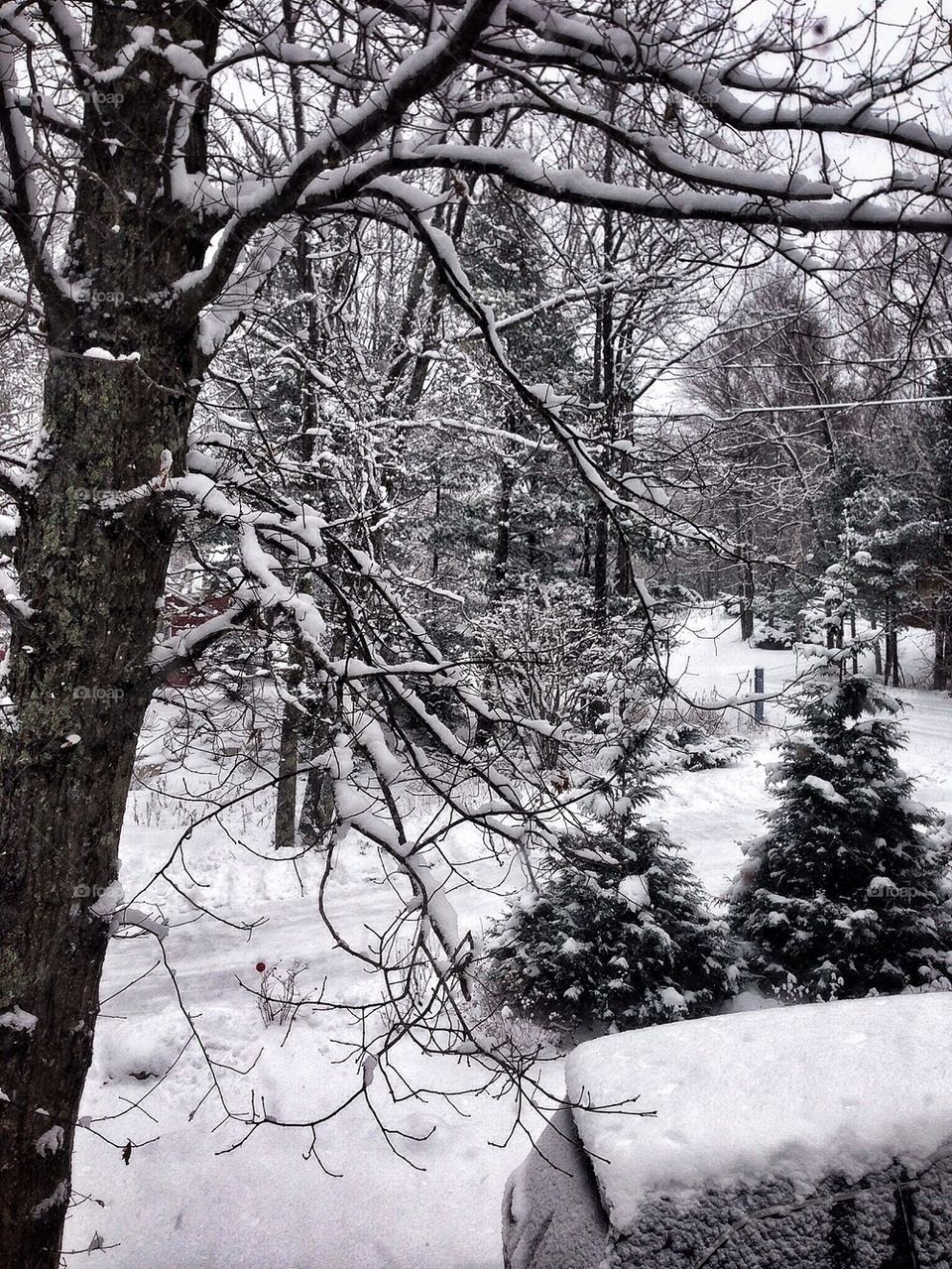 A Wintery scene looking out the window
