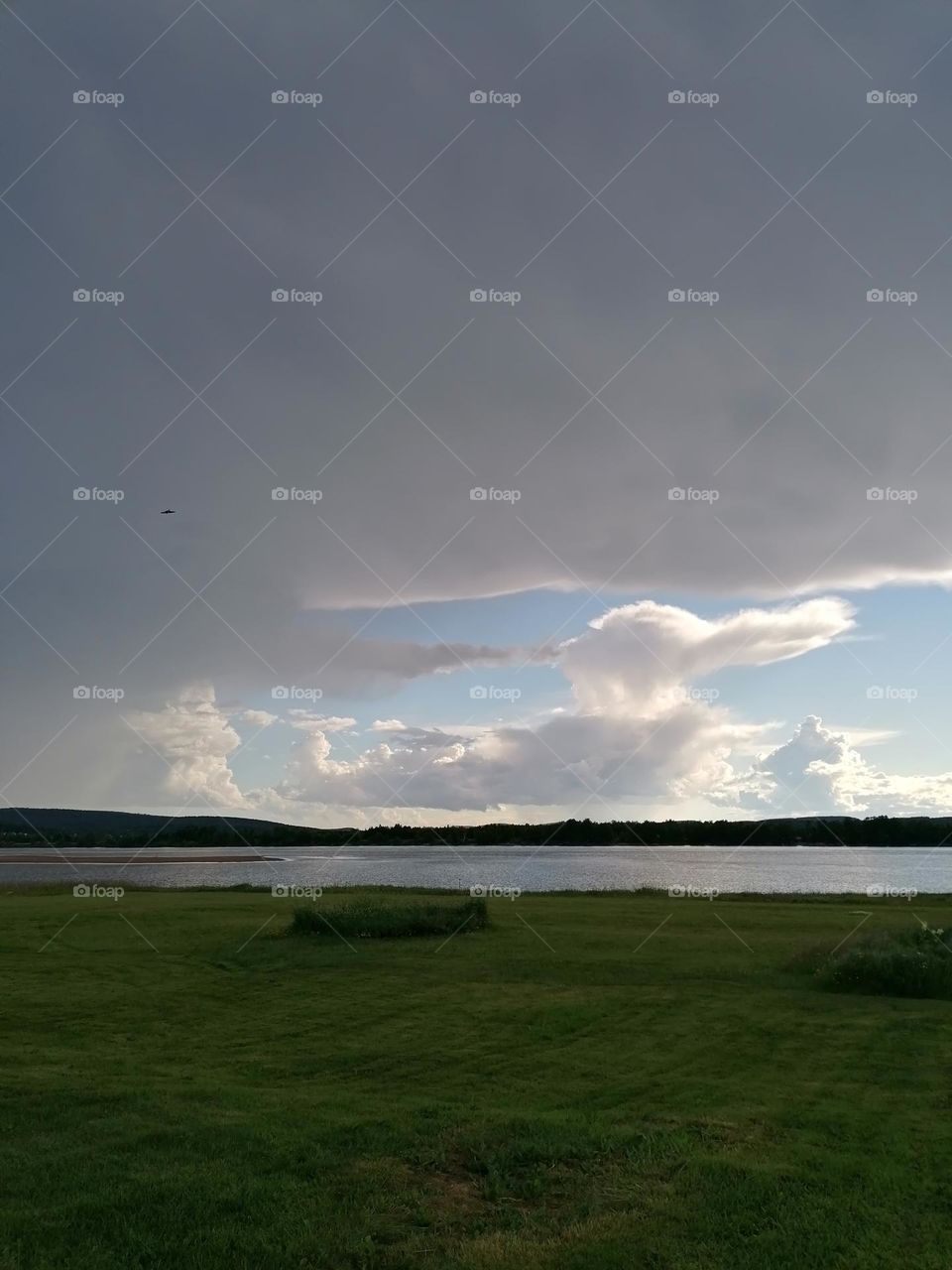 A bird came to say hello in the sky