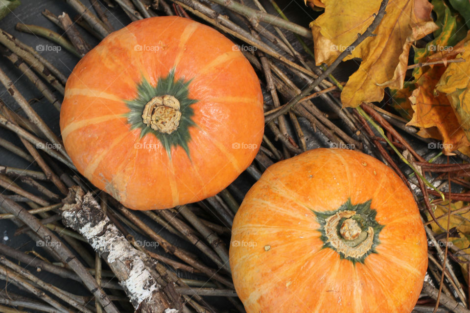 Pumpkin, vegetable, orange