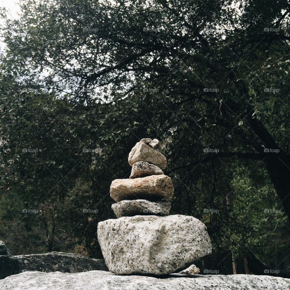 Stone, No Person, Rock, Tree, Outdoors