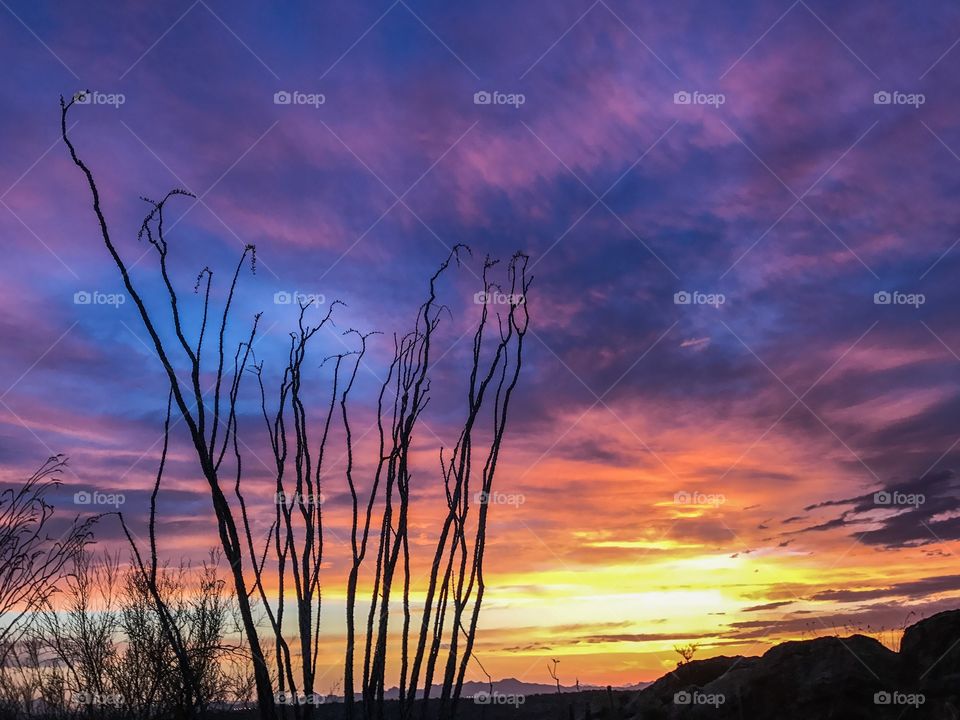 Desert Landscape - Sunset 