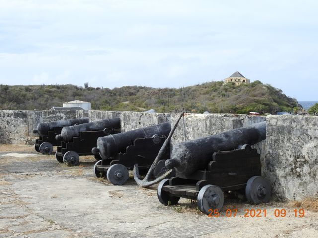 Cannon