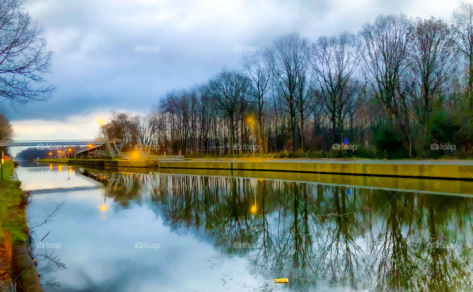 Grey morning over the canal and the forest