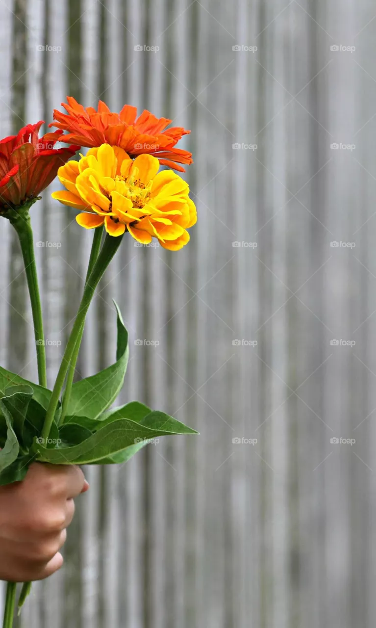 Flower